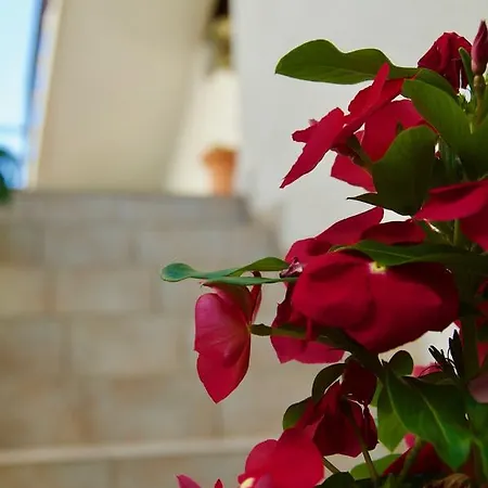 Apartment Petricevic Hvar Town